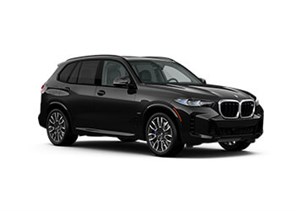 Fullsize Elite (BMW X5) car rental in Montrose Downtown