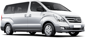 Hyundai H-1 car rental in Santa Cruz