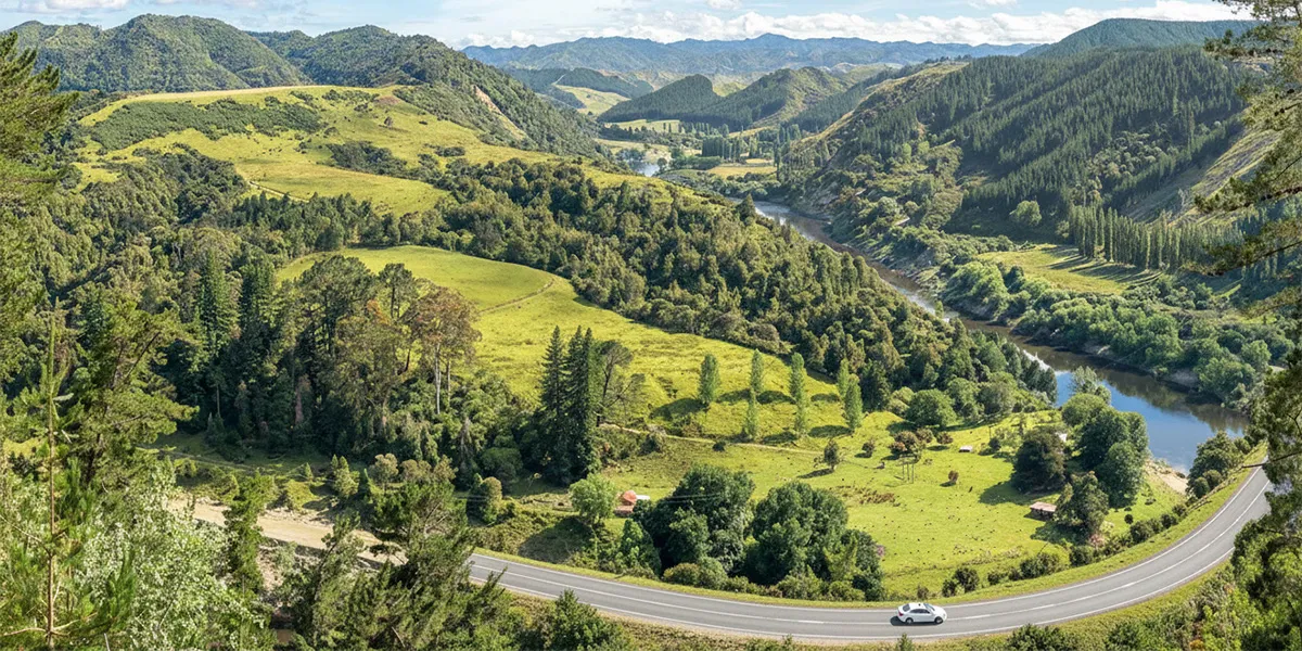 Car Rental in Whanganui