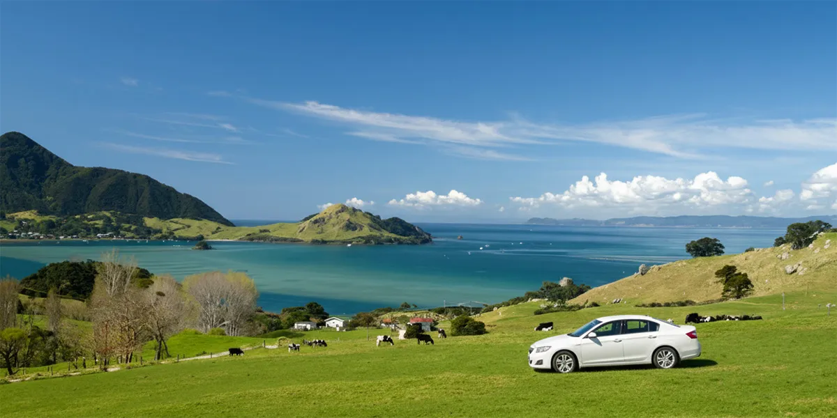 Car Rental in Whangarei